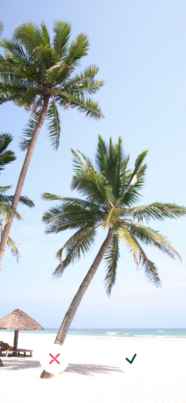 A smartphone displaying an image of a sunny beach with palms used for AI-Powered Swipe Journeys